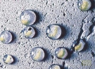 Газобетон і волога: хто кого? газобетон і волога